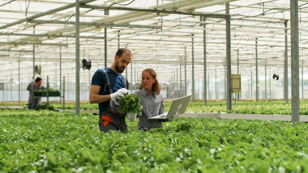 Future Trends in Agriculture Technology
Impact on Global Agriculture