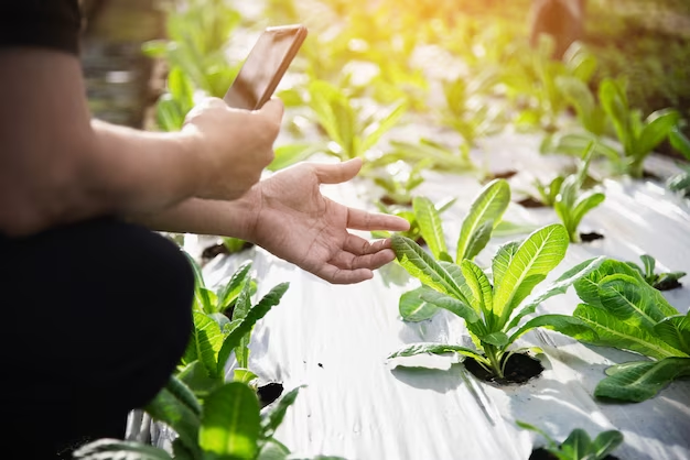 Role of Technology in Agriculture