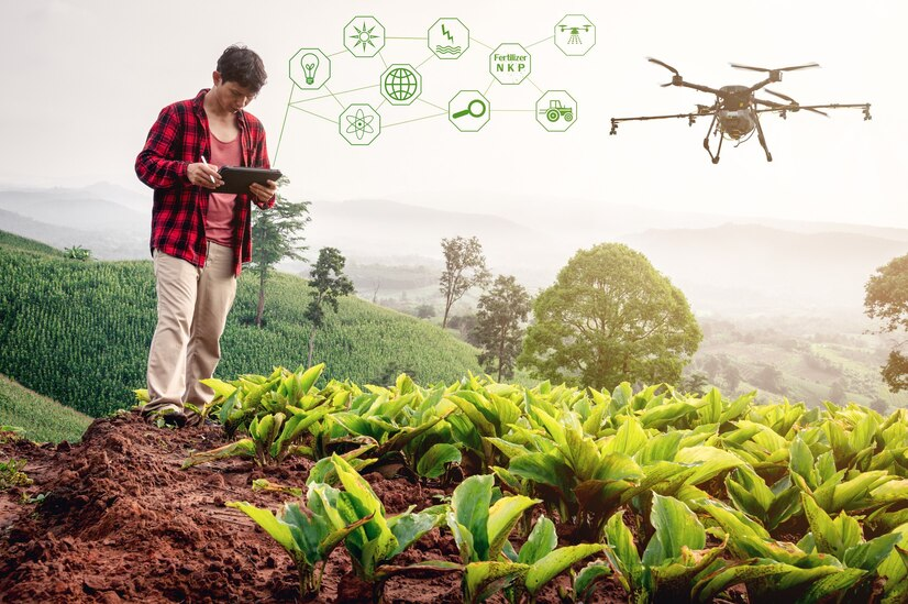 Drones and Farm Management
